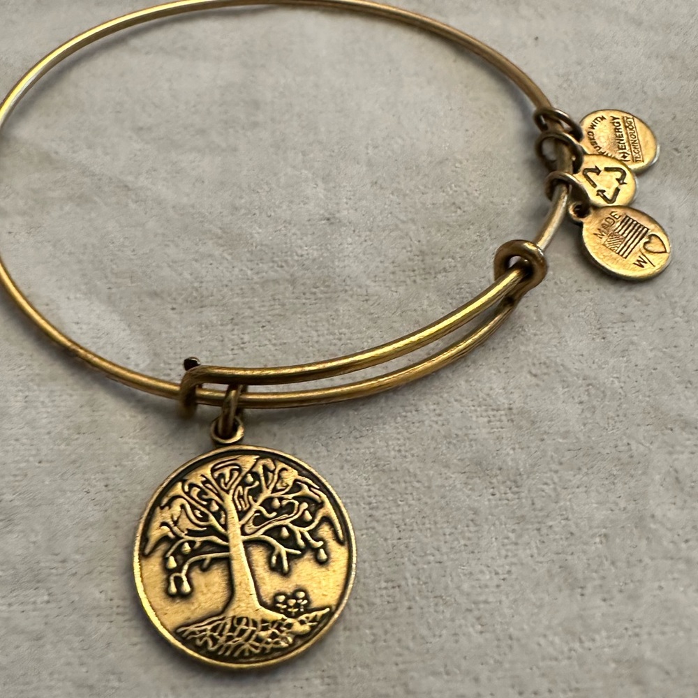 Alex and Ani Tree of Life Bangle Bracelet